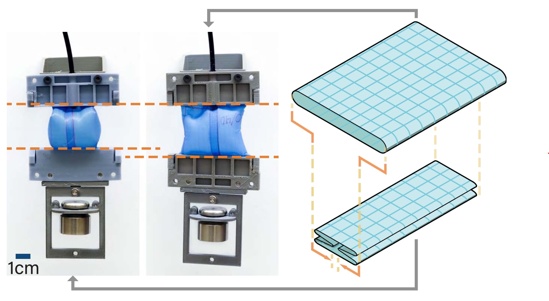 Folded pneumatic artificial muscle actuator