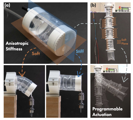 Inflated rotational joint for a soft robot