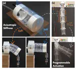 Anisotropic Stiffness and Programmable Actuation for Soft Robots Enabled by an Inflated Rotational Joint