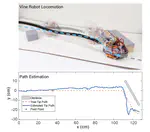 Vine Robot Localization Via Collision